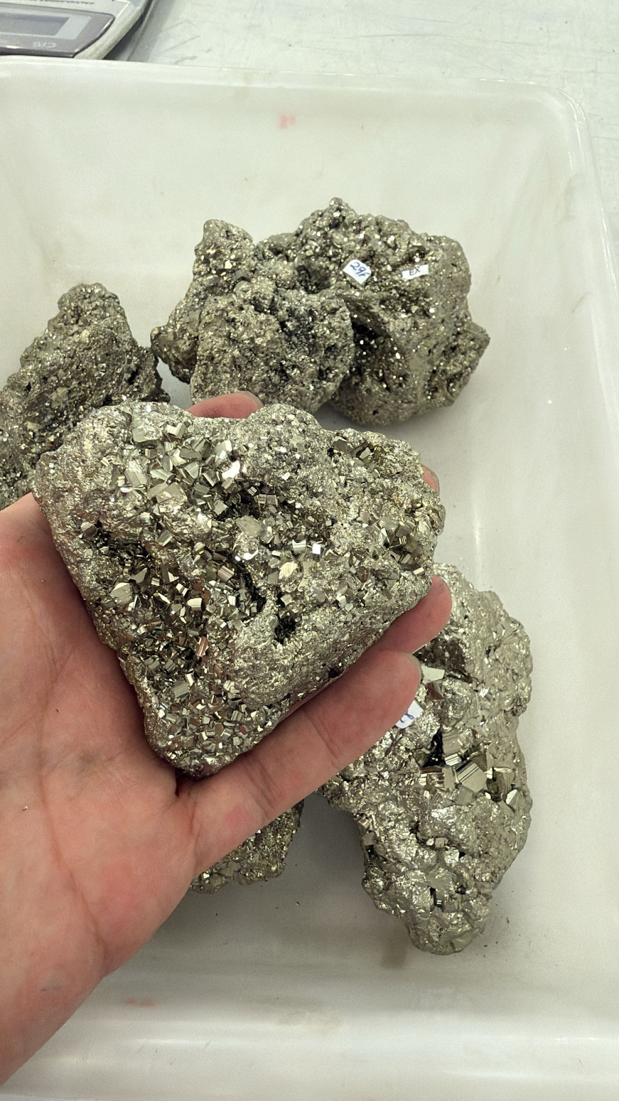 WH138 黃鐵礦 8-10Cm 380-600G (隨機)