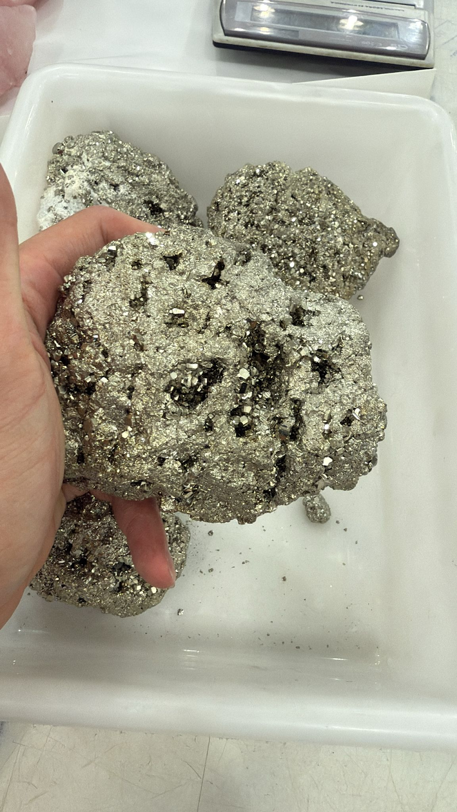 WH139 黃鐵礦 13-14cm 700-1000g (隨機)