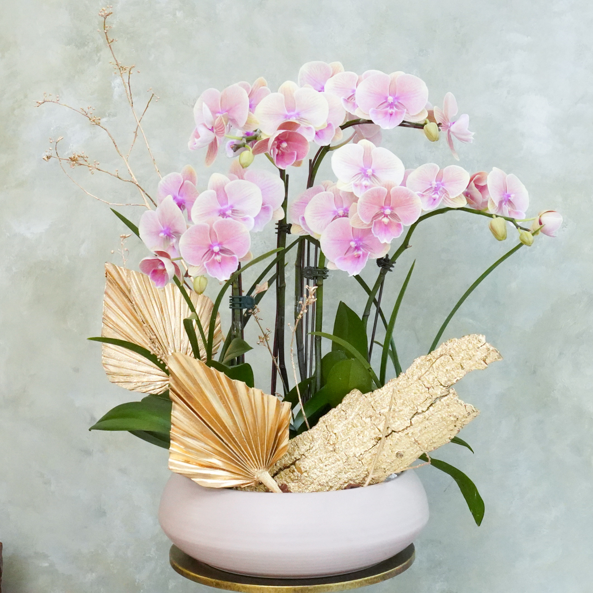 粉色蝴蝶蘭推薦,淡粉色蝴蝶蘭推薦,開幕盆栽推薦,開幕蘭花推薦,開幕蘭花推薦台北,蘭花盆栽粉色外送推薦,花朵特寫334