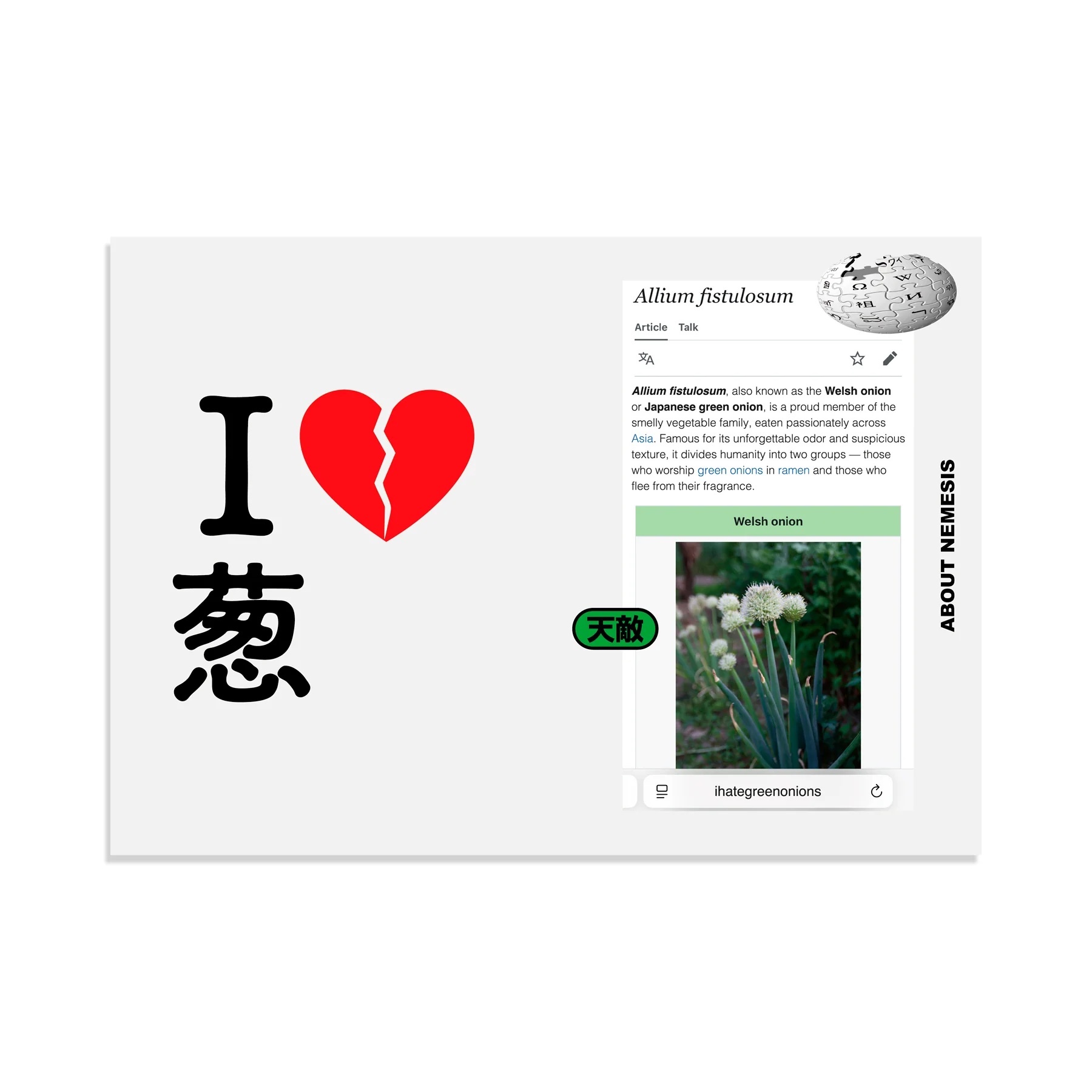 NERIAME - "There’s a fine line between love and hate" Zine