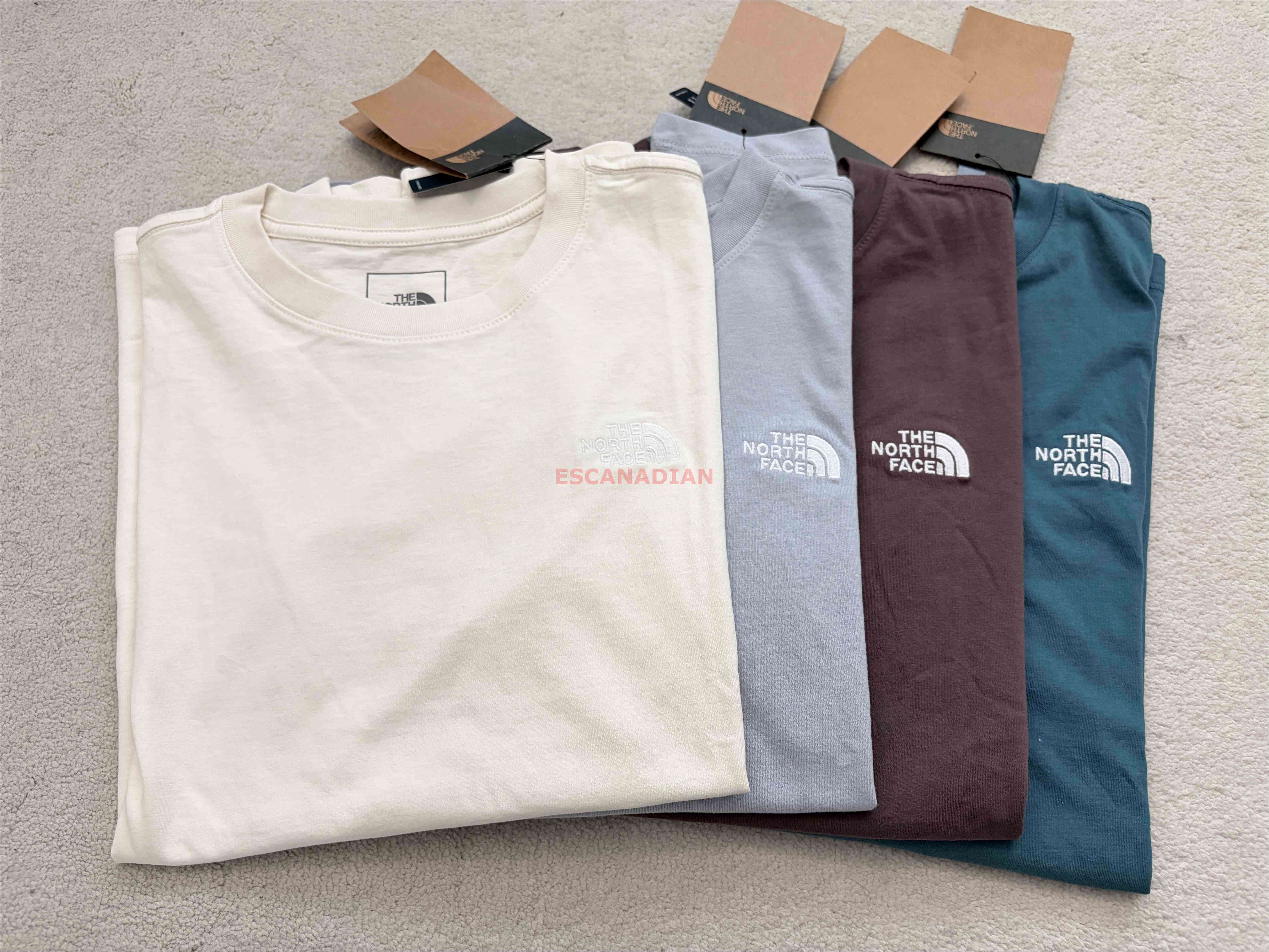 THE NORTH FACE 女大人 刺繡小標 短TEE (4色)