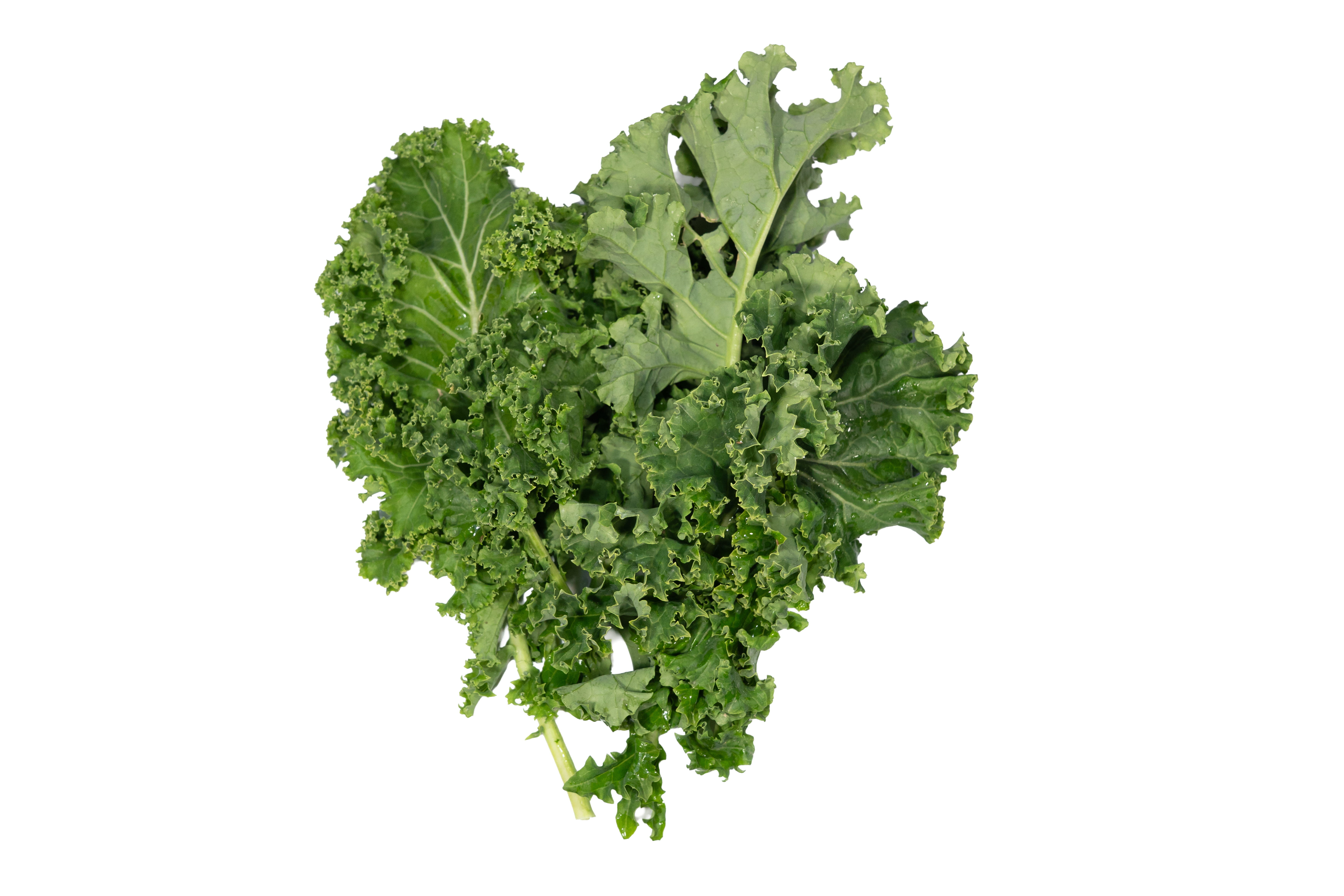 本地有機洋芥蘭 (紫色/綠色羽衣甘藍)  (斤)