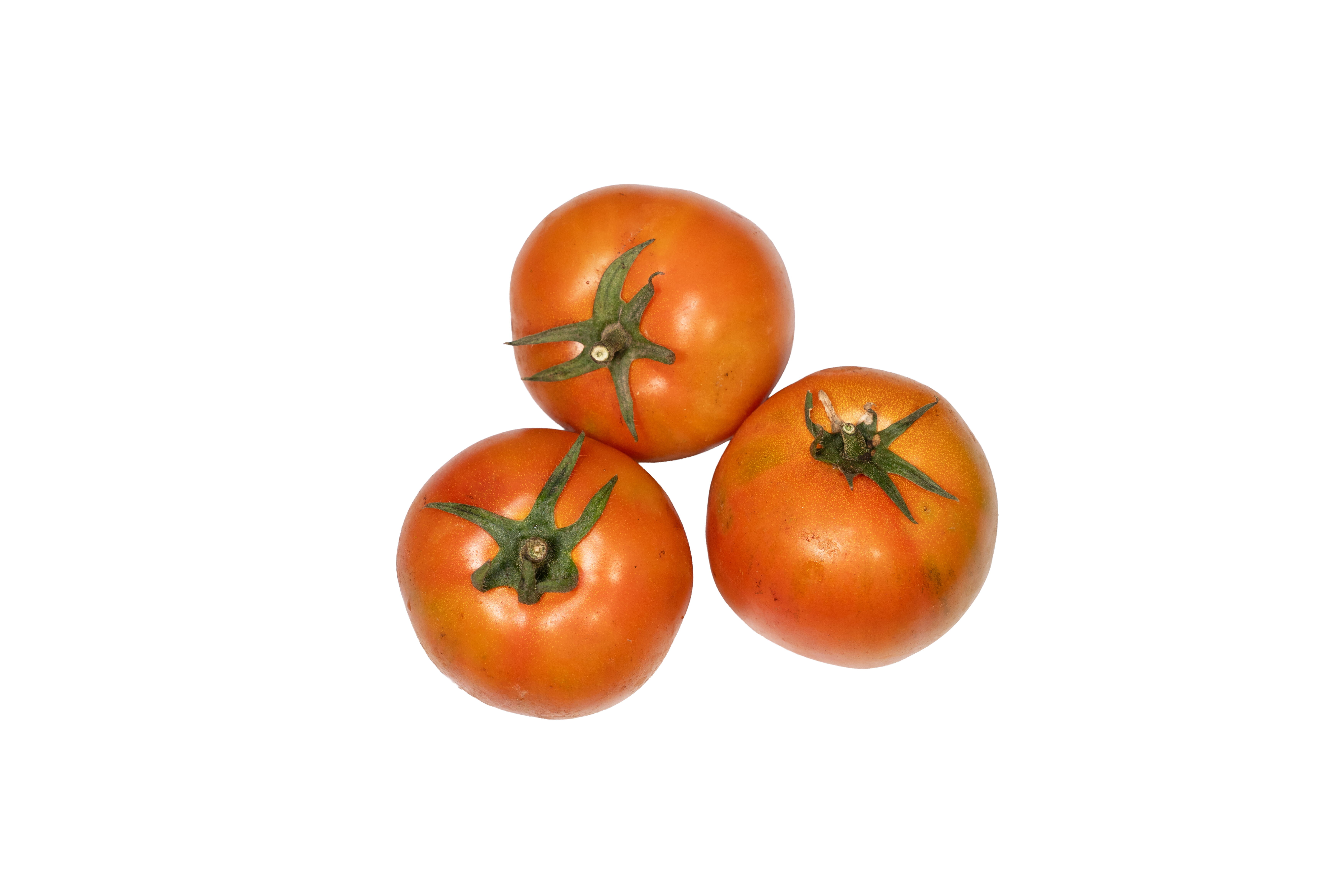 本地有機番茄 (/小番茄/斤)