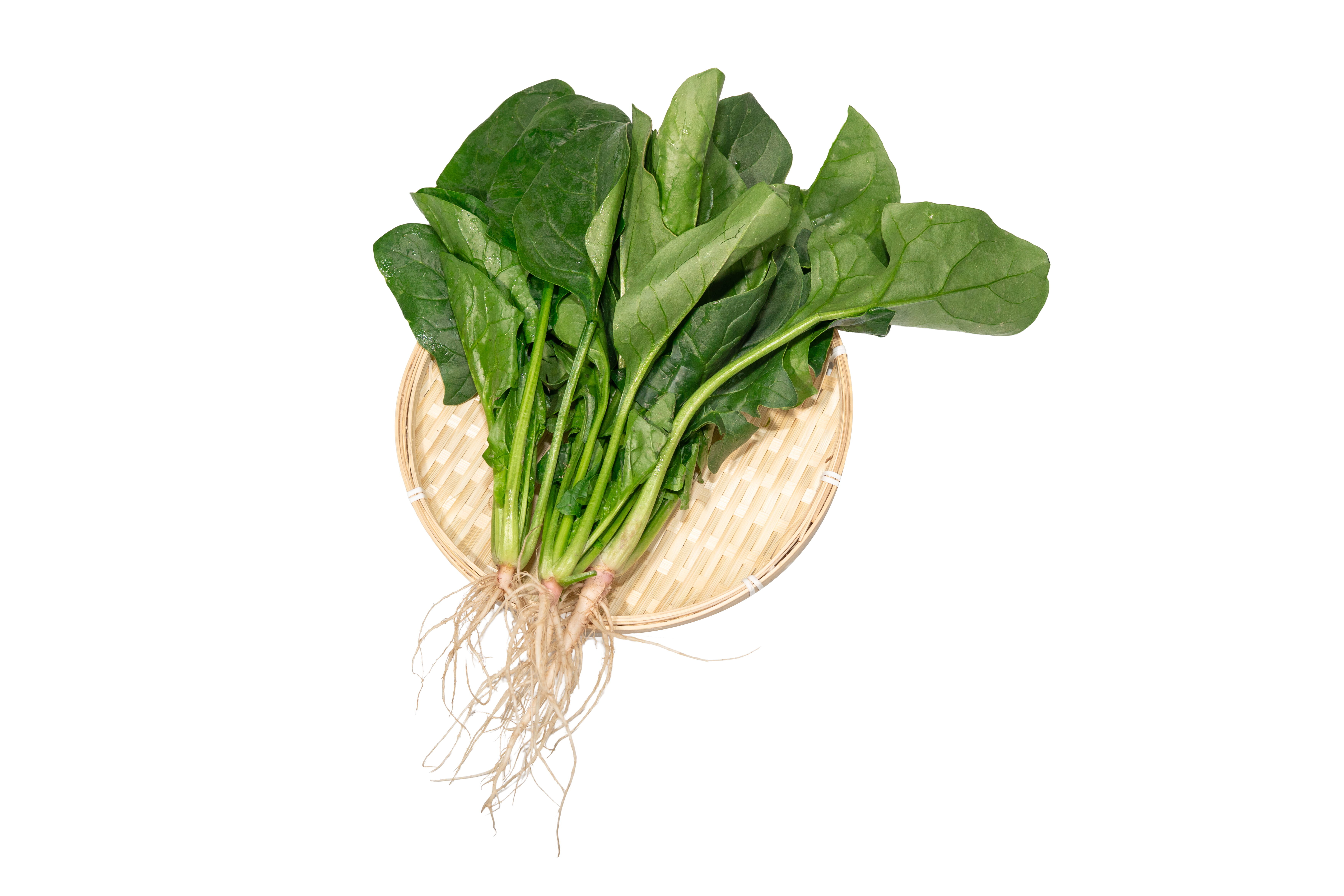 本地信譽菠菜 (斤)