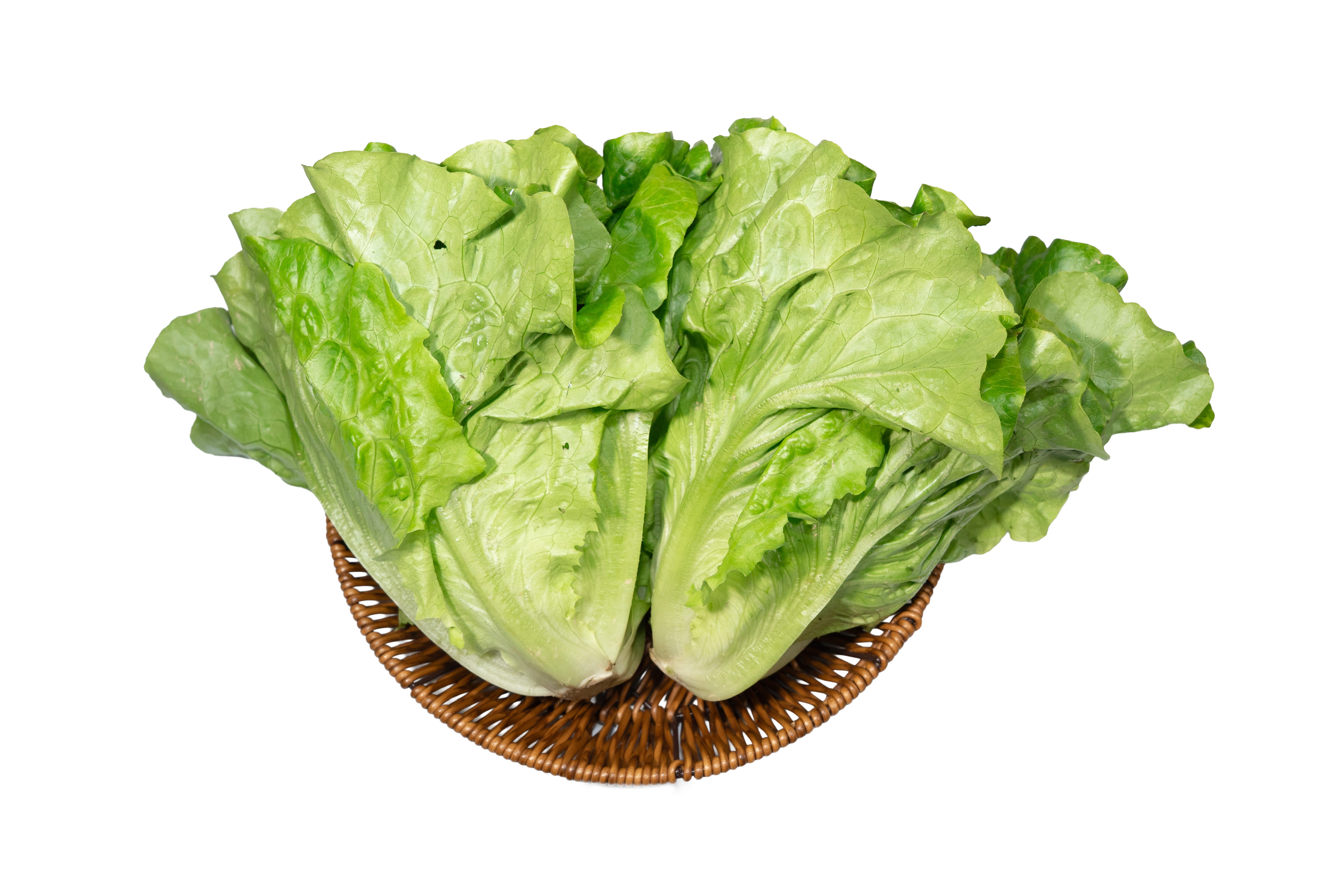 本地有機意大利生菜 (斤)