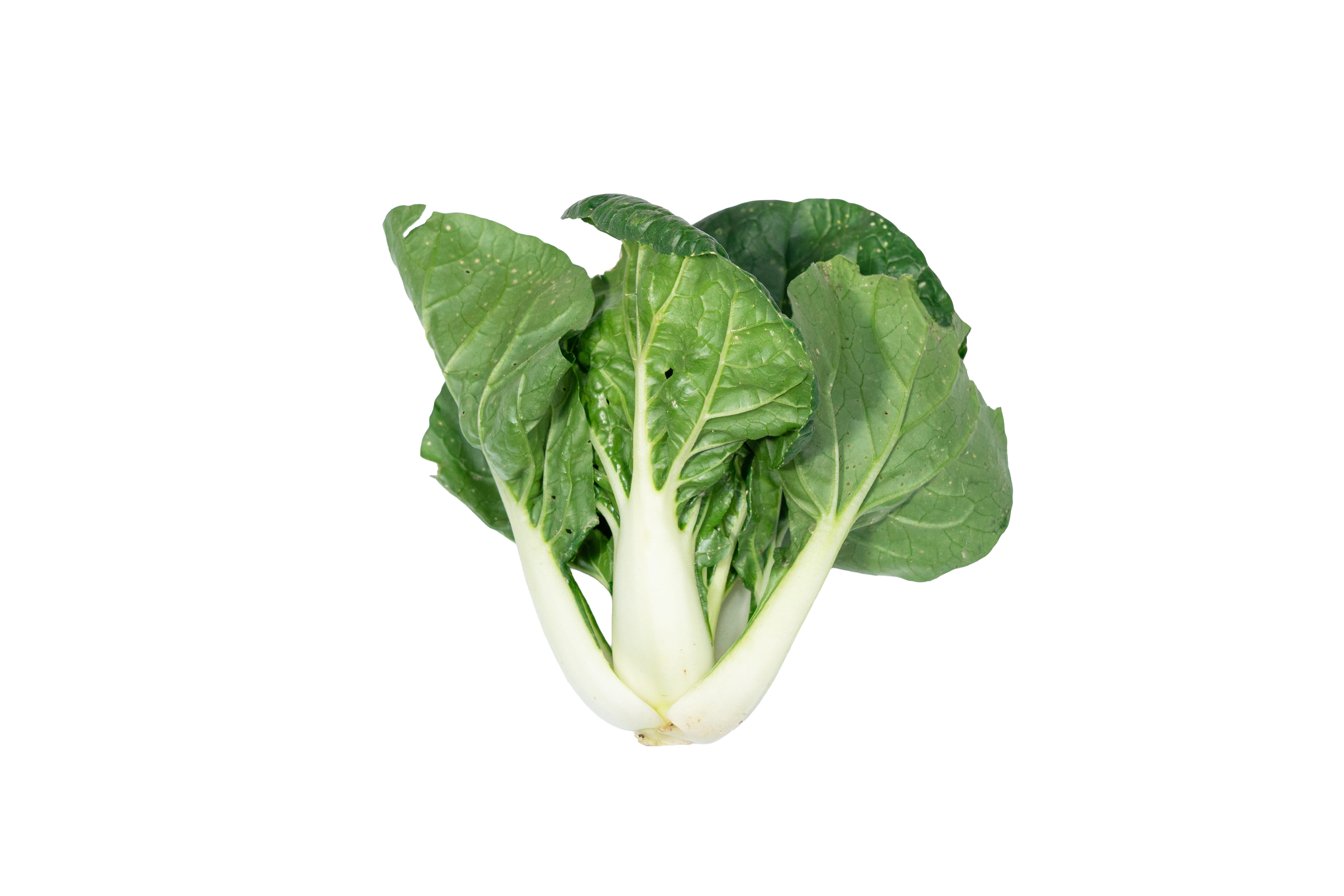 信譽白菜仔 (斤)