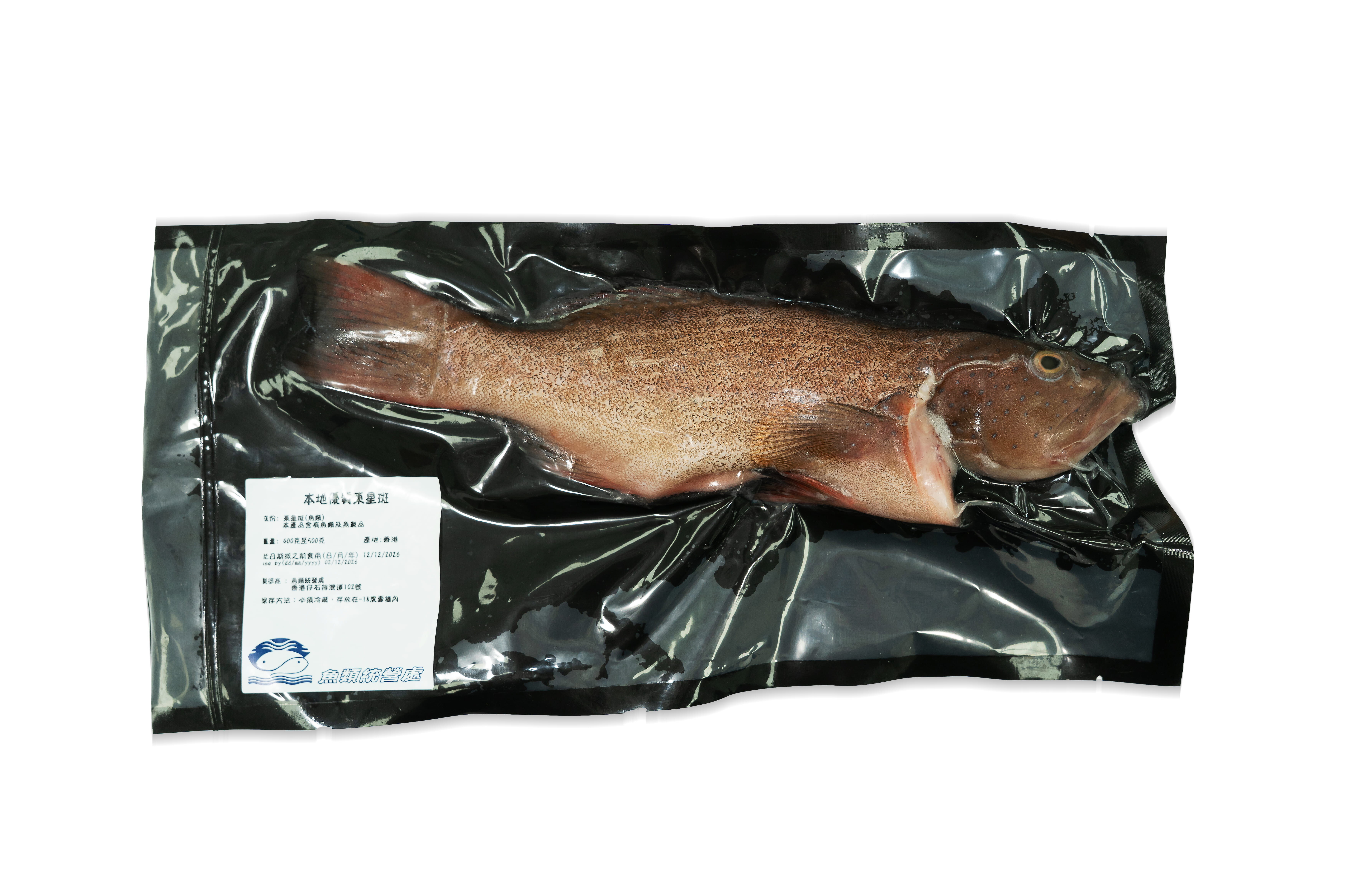 速凍東星斑 1條 400g