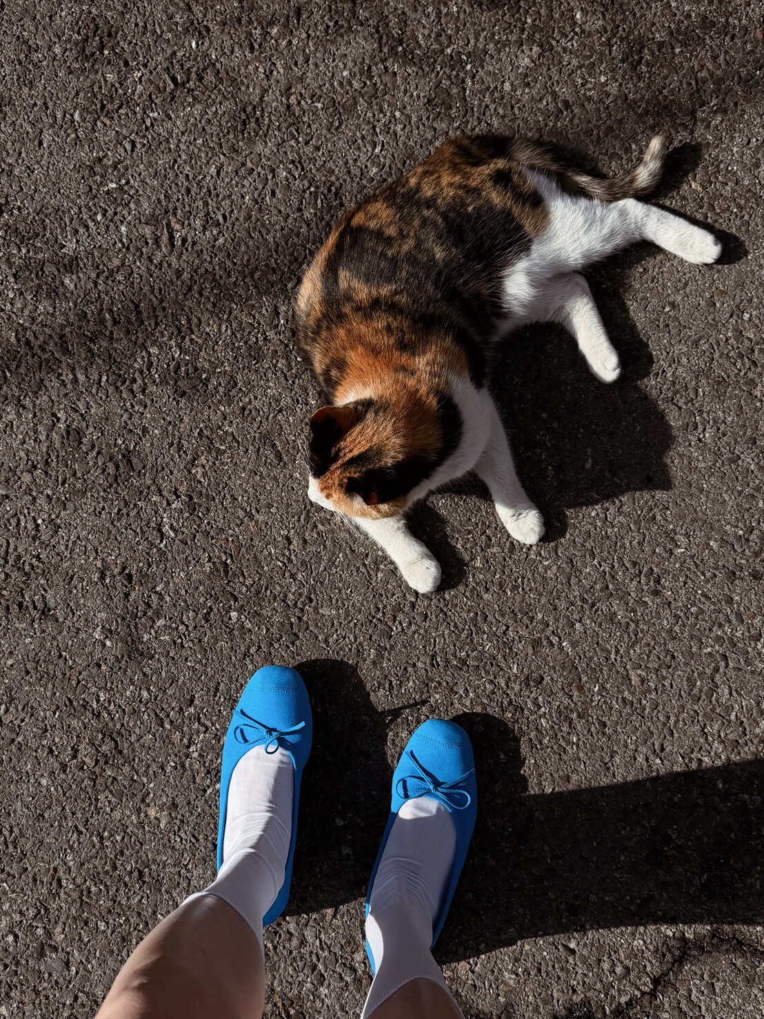 #AF79繽紛娃娃鞋(粉/黃/藍/黑)