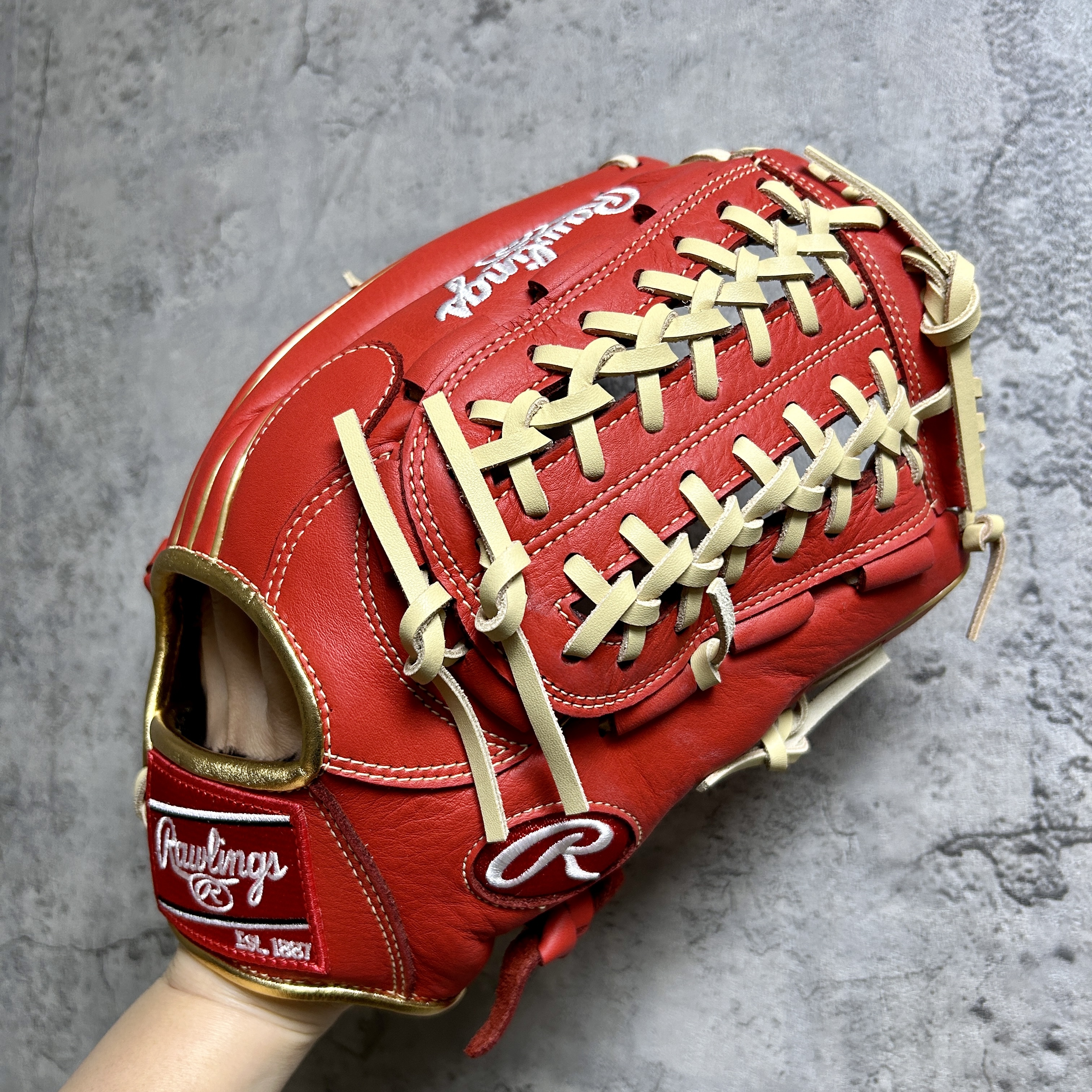 11.75吋 Rawlings SELECT PROLITE 軟式 オールラウンド用 GR5SPLN65