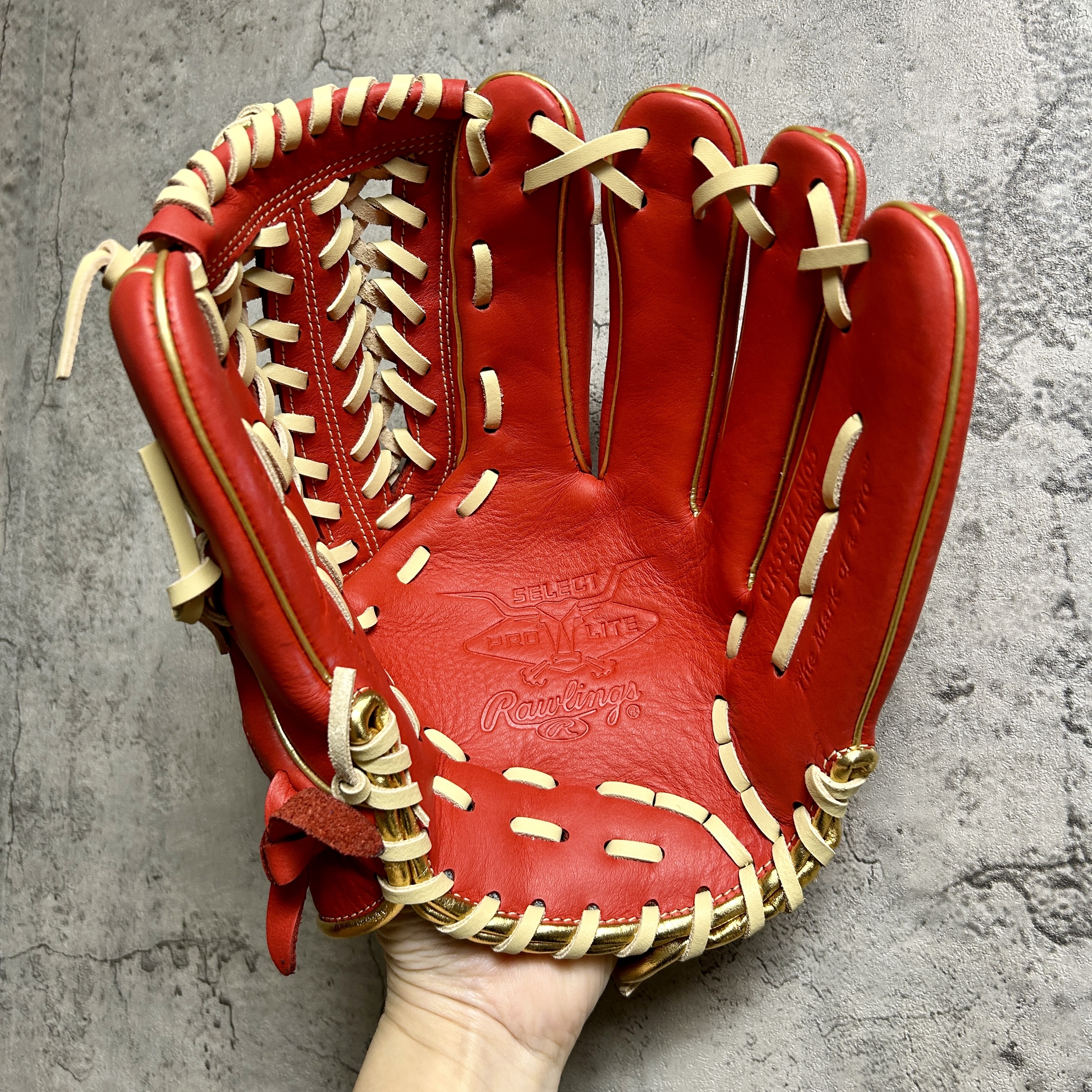 11.75吋 Rawlings SELECT PROLITE 軟式 オールラウンド用 GR5SPLN65