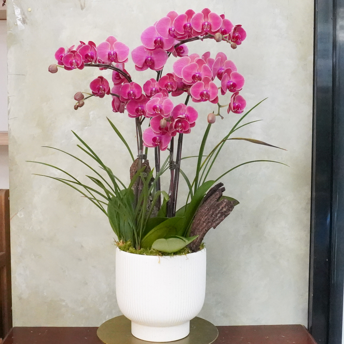 蘭花紅色特寫,蘭花外送推薦,蘭花外送台北,台北蘭花外送服務,蘭花推薦台北6