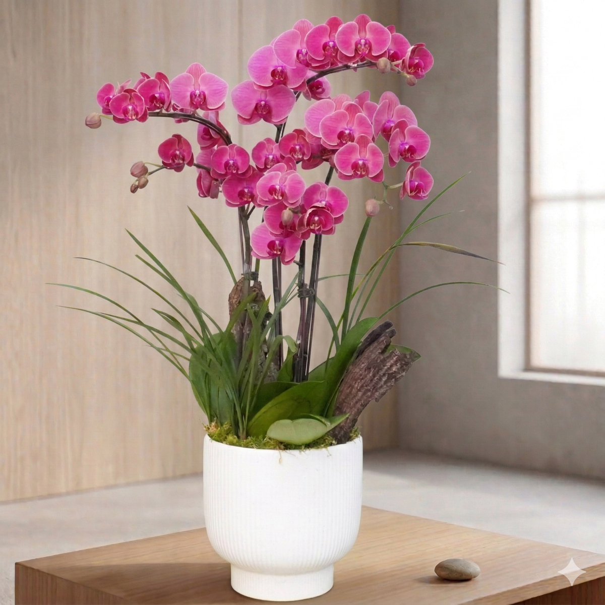 蘭花紅色特寫,蘭花外送推薦,蘭花外送台北,台北蘭花外送服務,蘭花推薦台北