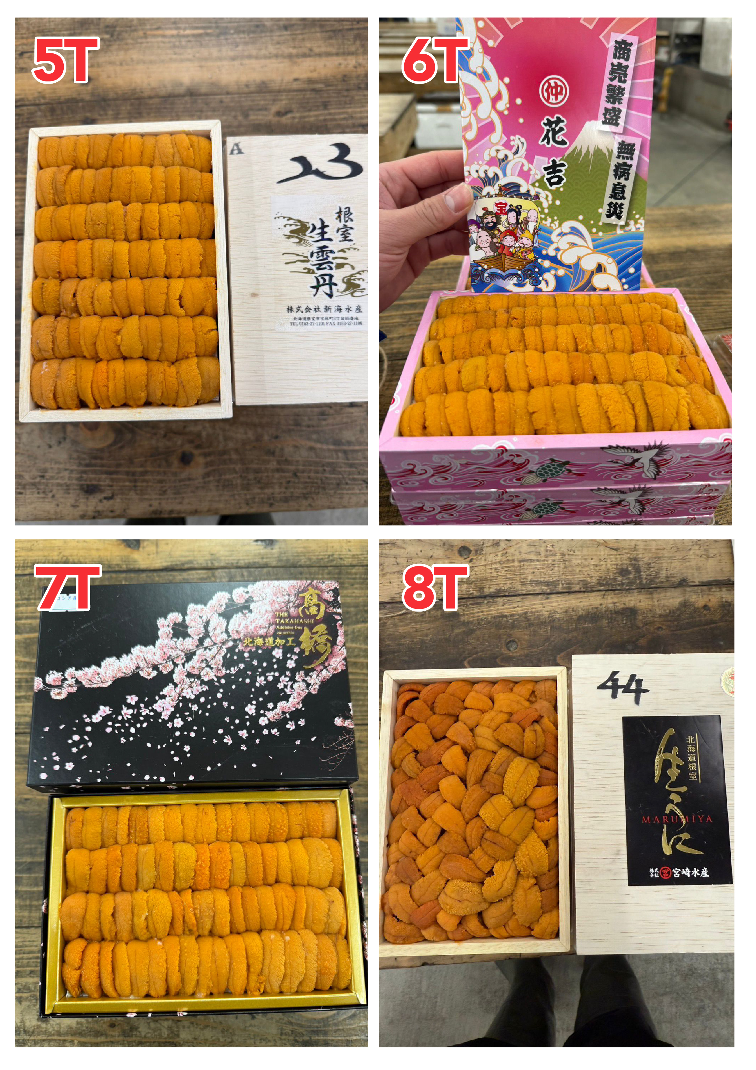 【指定海膽推薦】每天更新 (限即日落單, 翌日送)