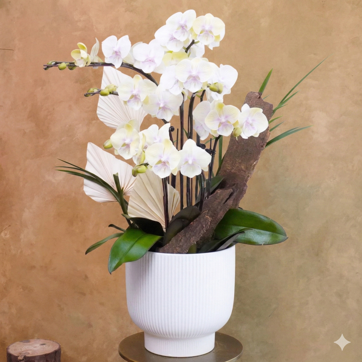 黃色蝴蝶蘭外送,台北蝴蝶蘭外送推薦