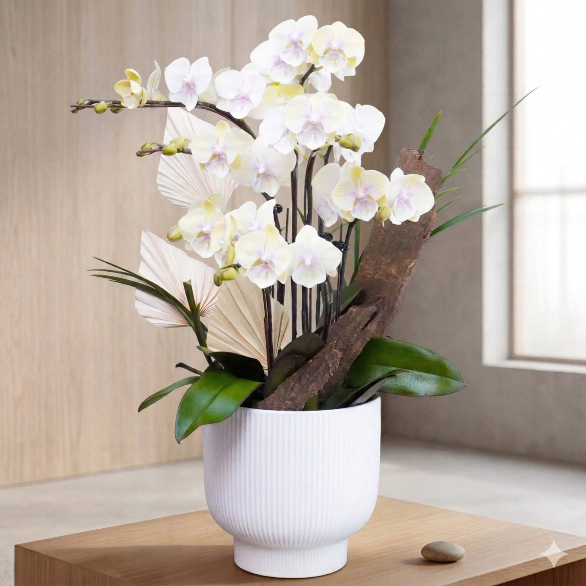 黃色蝴蝶蘭外送,台北蝴蝶蘭外送推薦,蝴蝶蘭推薦,蘭花推薦台北4