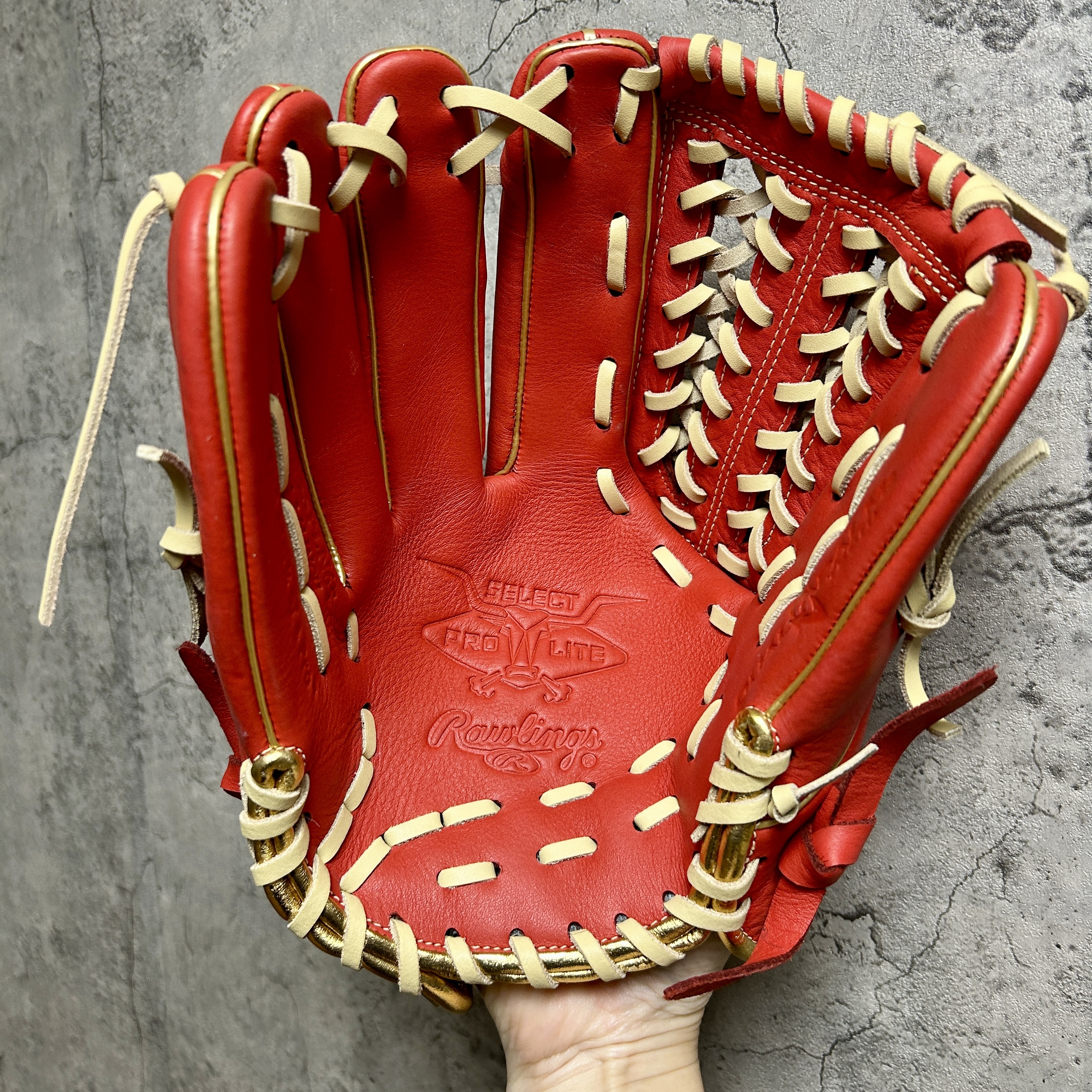 11.75吋 Rawlings SELECT PROLITE 軟式 オールラウンド用 GR5SPLN65 左投