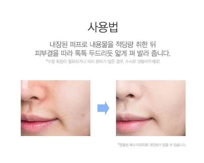 The Saem 控油吸油散粉 Perfect Pore Powder 5g