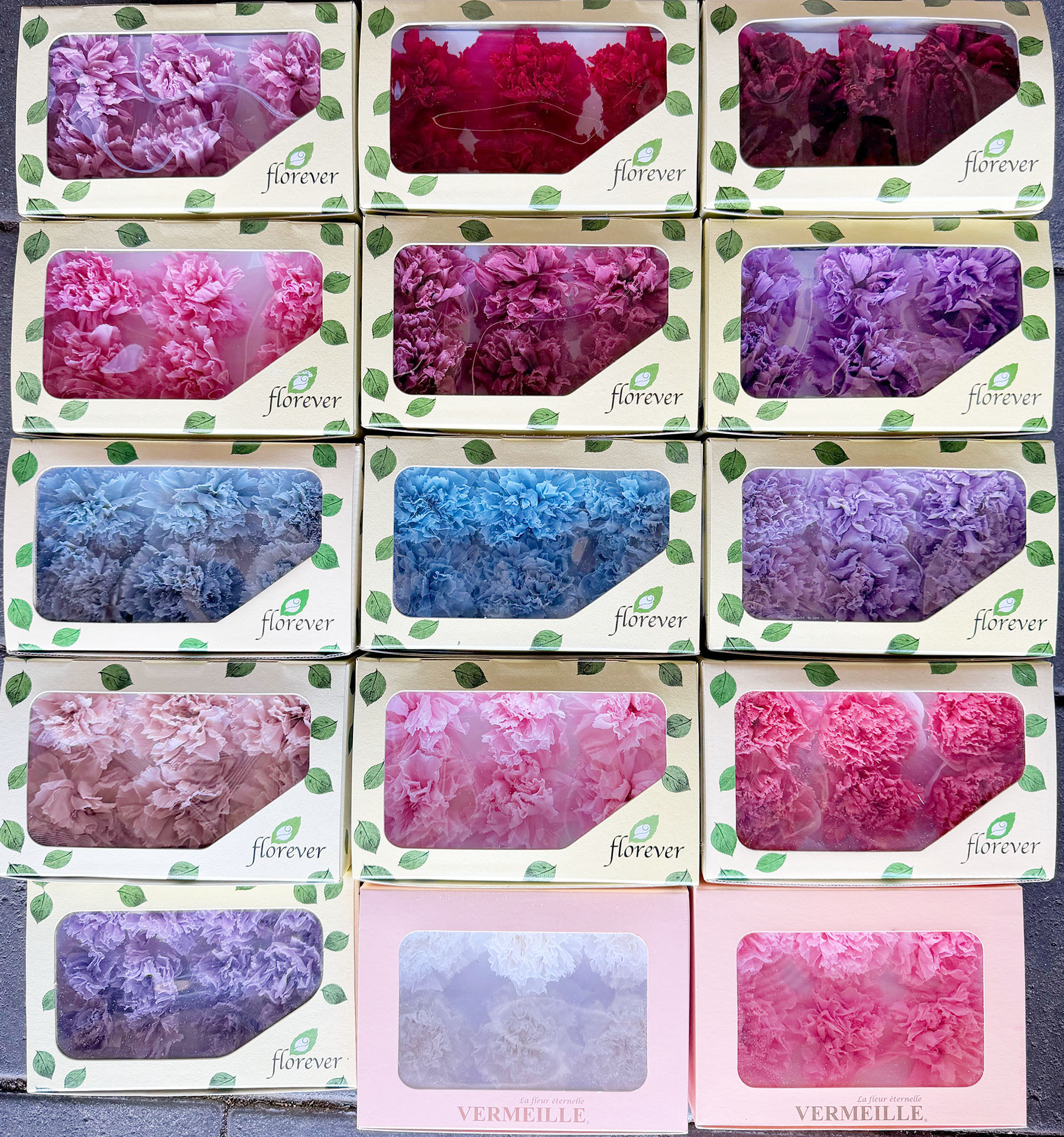 永生6輪康乃馨(5cm)