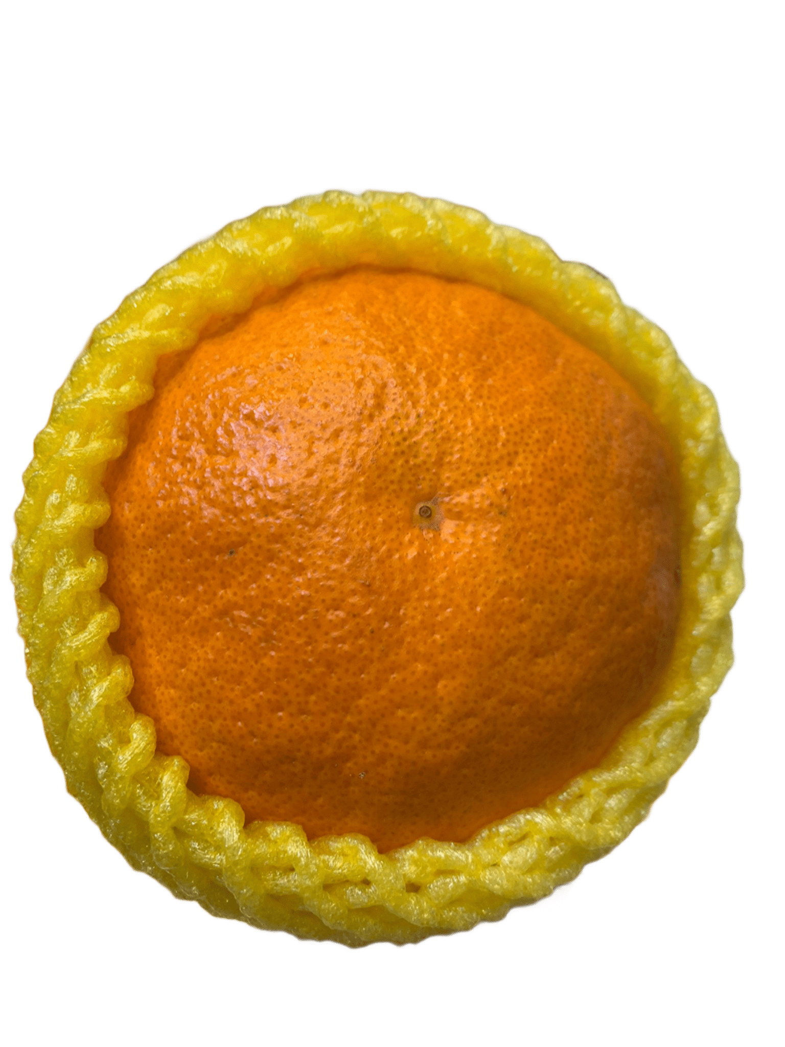 Citrus Kanpei - Set of 3 Pcs