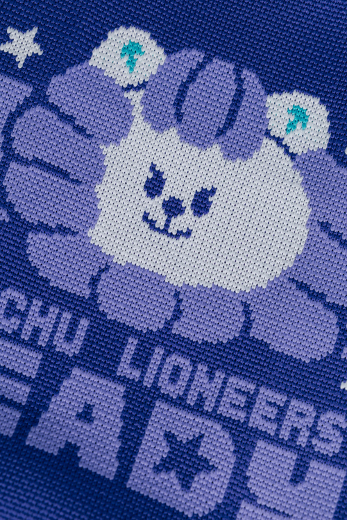 25-26 瑞迪針織包