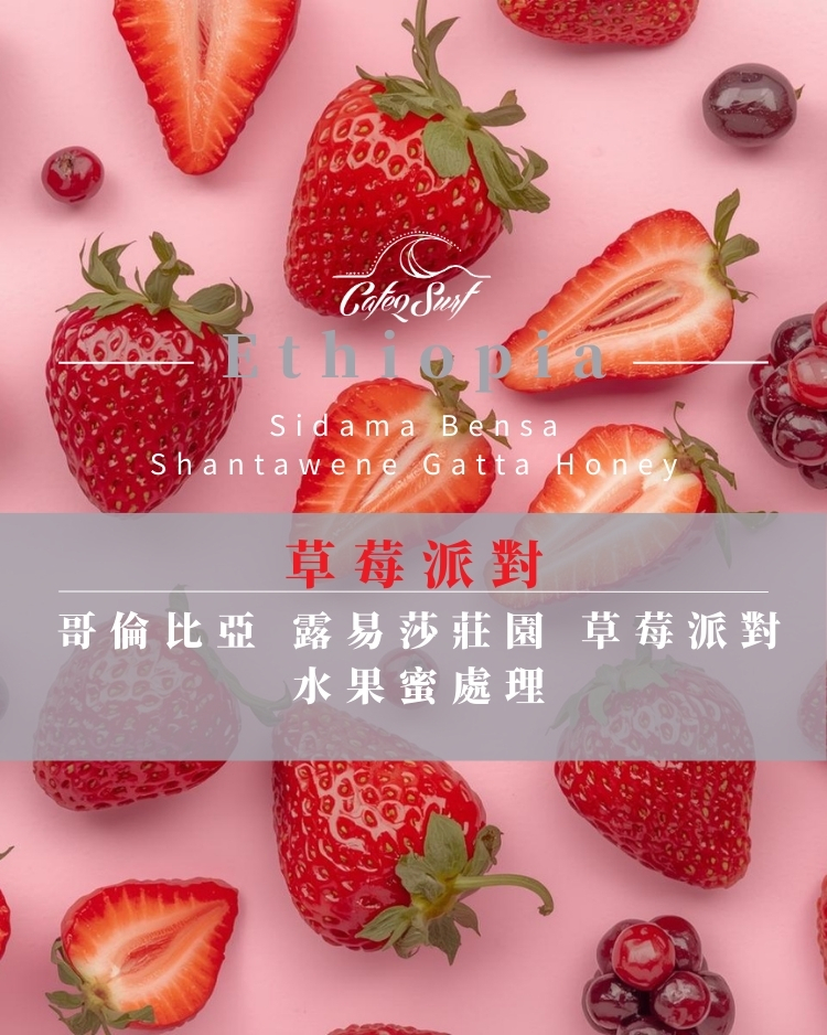 草莓派對｜哥倫比亞 露易莎莊園 草莓派對 水果蜜處理｜咖啡豆 227g