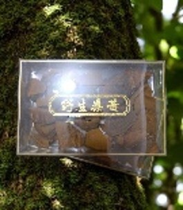 0311PA44-PAT姐健康養生-正宗桑樹桑黃 250克/盒（A44）