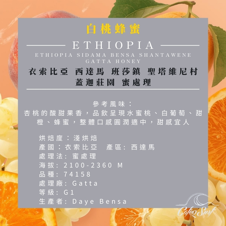 【大濾掛 - 9入小禮盒】白桃蜂蜜｜衣索比亞 西達馬 班莎 蓋迦莊園 蜜處理 (每包15g，9入╱盒裝)