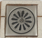 使用10天落髮量