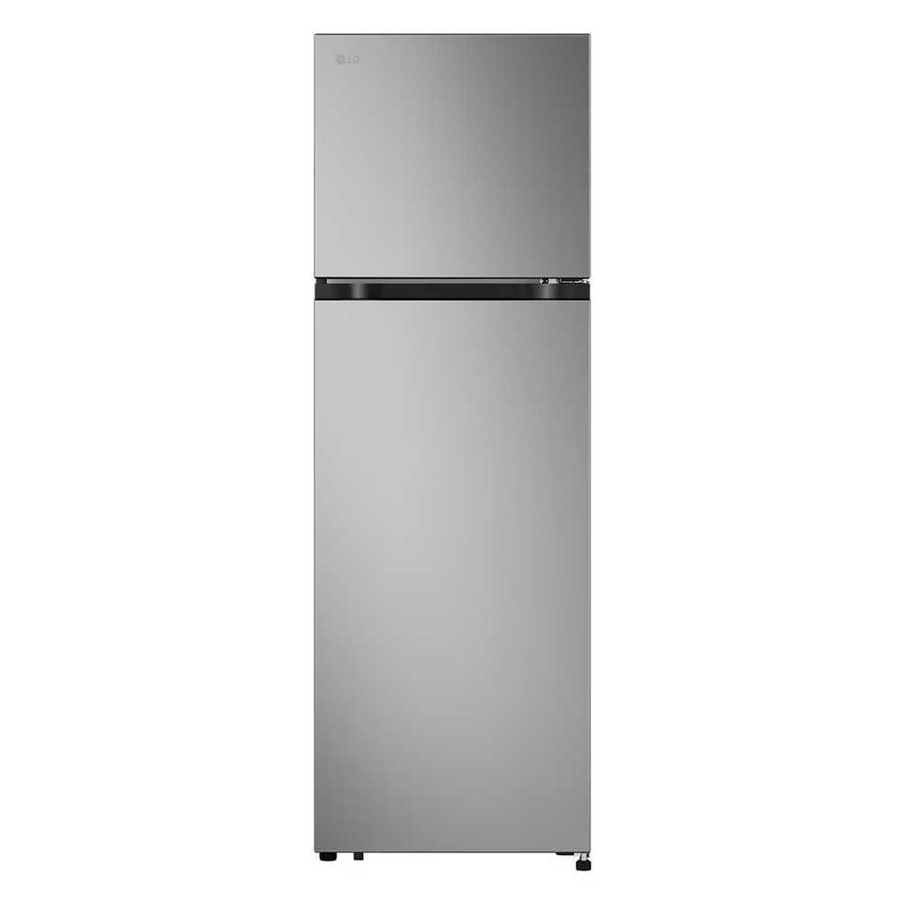 LG 樂金 266公升 智慧變頻雙門冰箱 星辰銀 GN-L266SVN