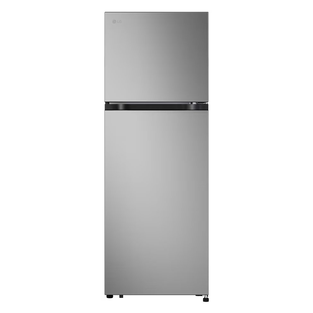 LG 樂金 243公升 智慧變頻雙門冰箱 星辰銀 GN-L243SVN