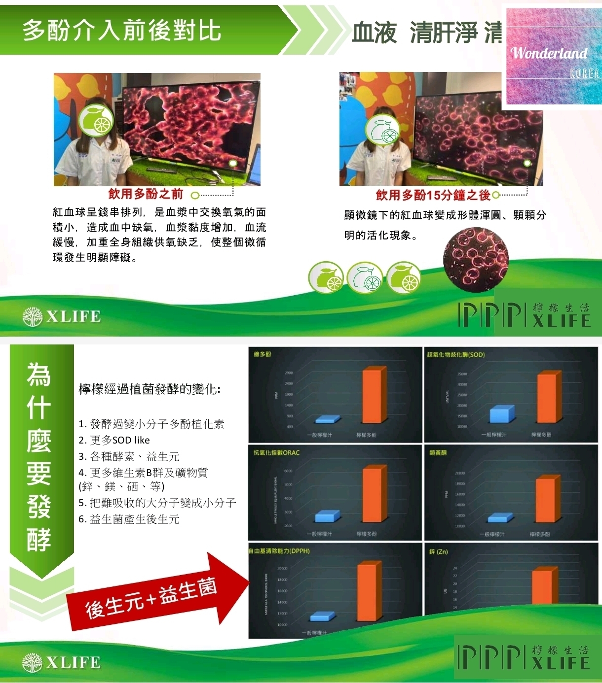 S4 W031204 檸檬多酚無糖喉糖 15粒