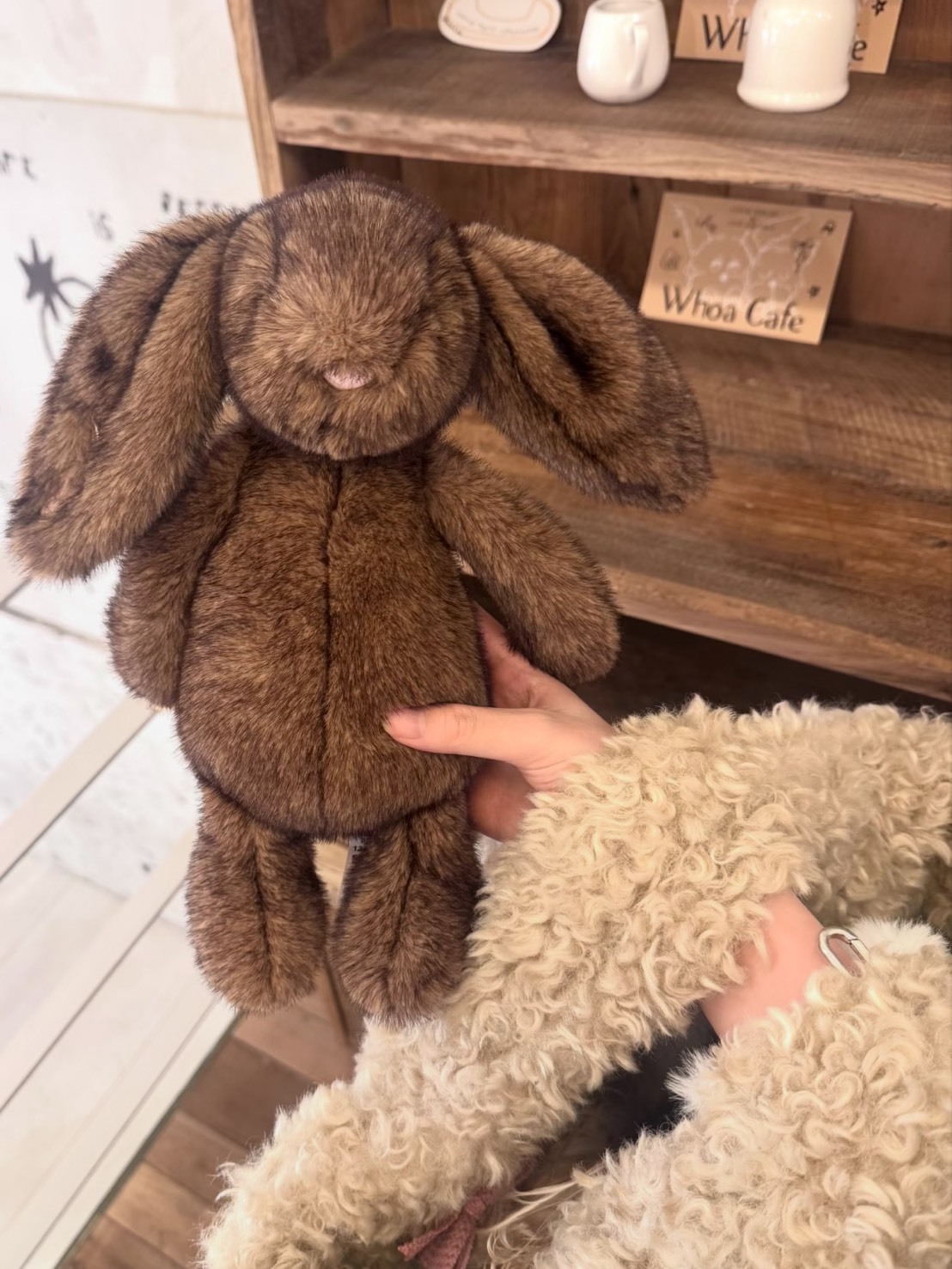 2026最新款 JELLYCAT 霍普萊斯敦 害羞邦尼兔 棕色 毛絨公仔🤎