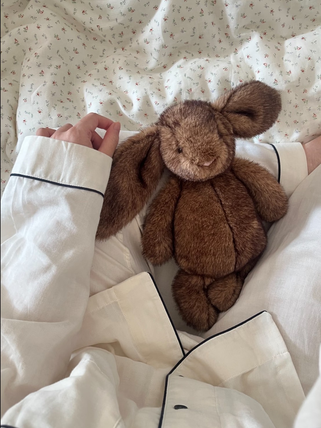 2026最新款 JELLYCAT 霍普萊斯敦 害羞邦尼兔 棕色 毛絨公仔🤎