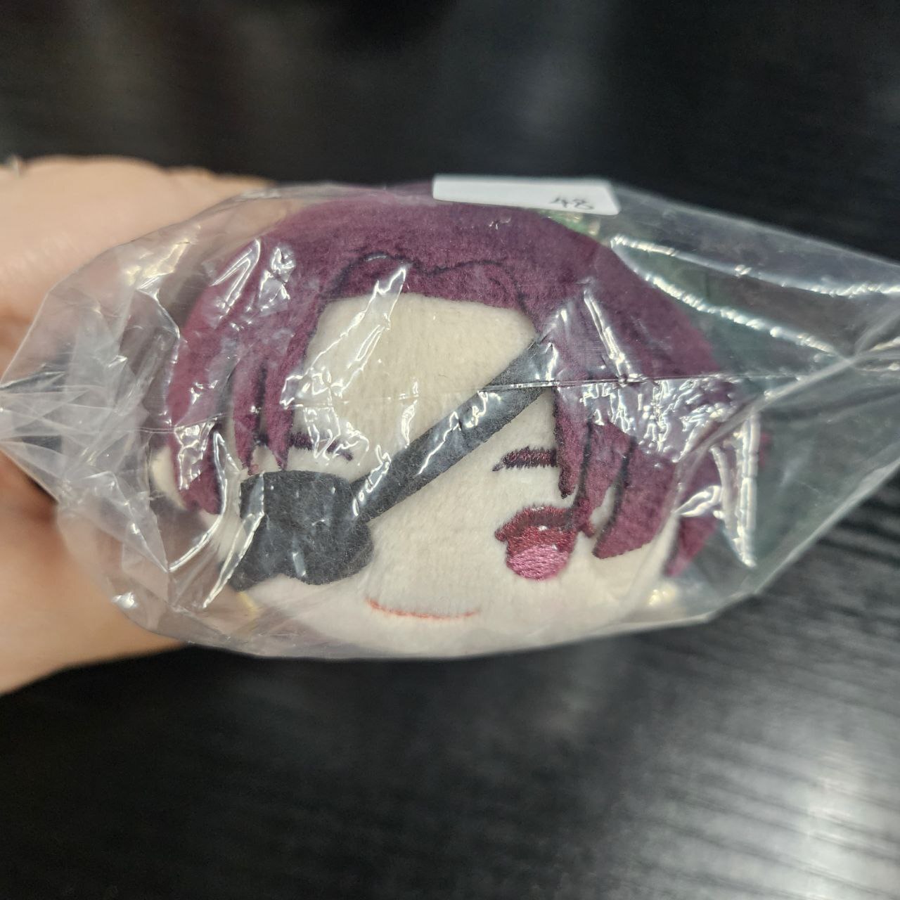 WIND BREAKER  蘇枋 公仔#362