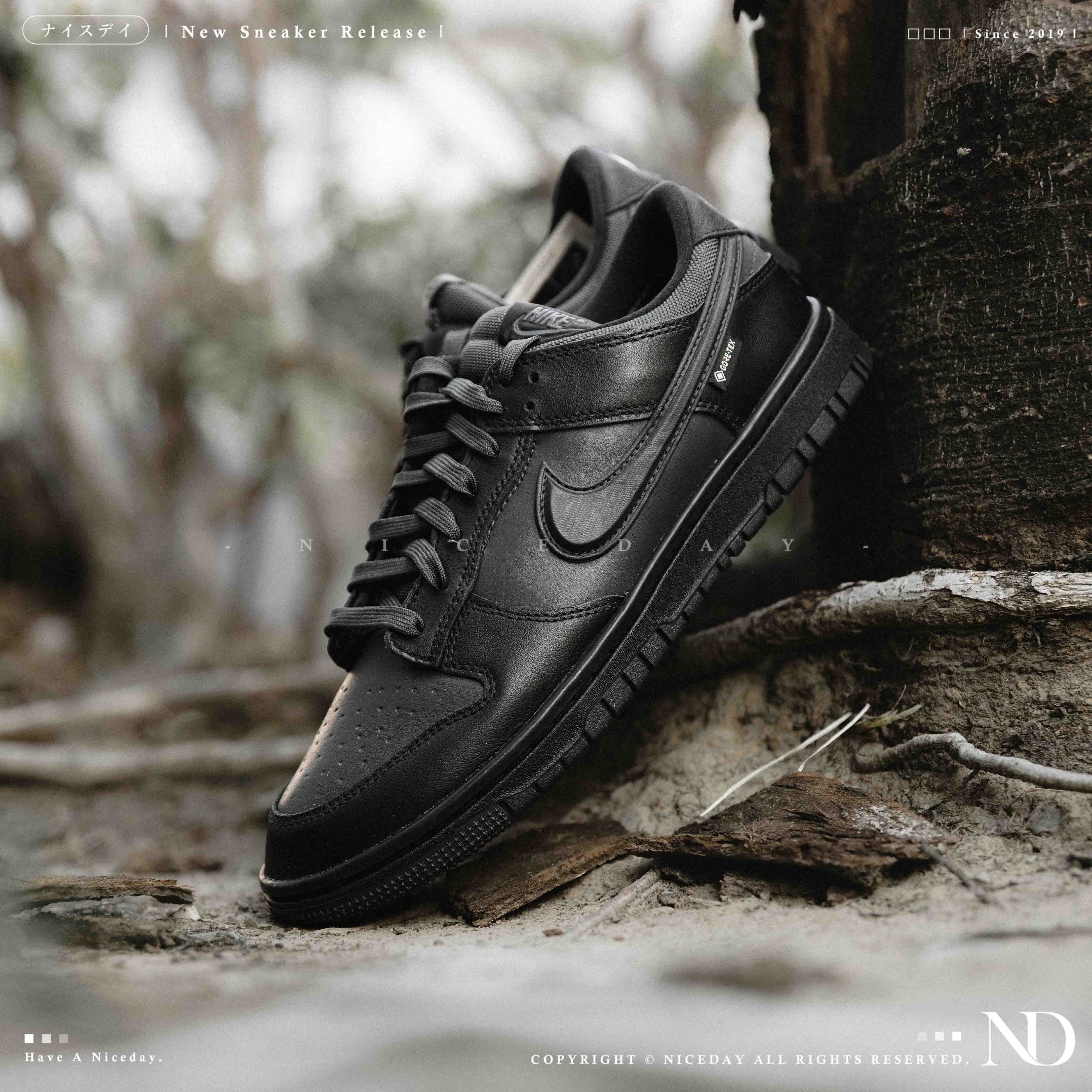 NICEDAY 代購 Nike Dunk Low Gore-Tex 黑魂 防水 黑 黑色 HQ2053-001