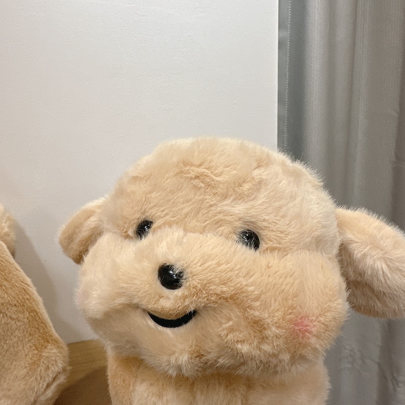 《03113》可愛的拉布拉多