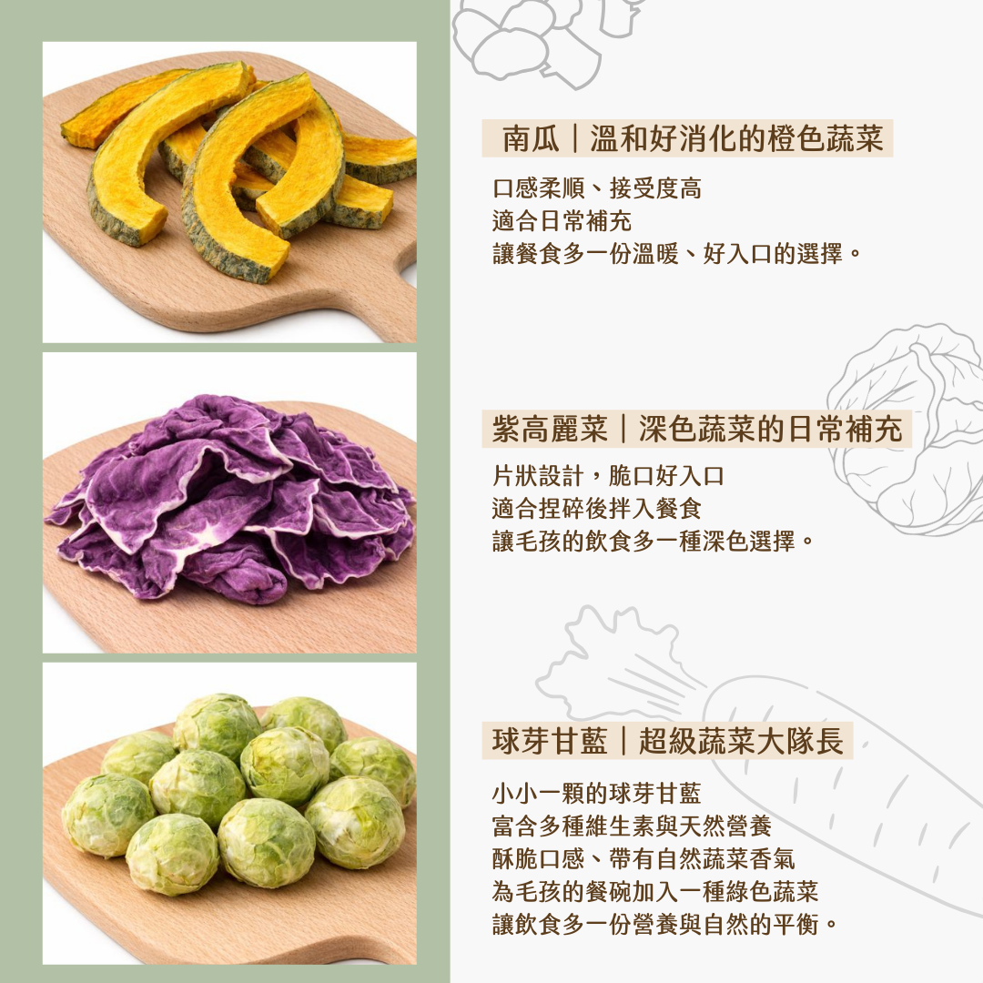 核心蔬菜三入組｜南瓜・紫高麗菜・球芽甘藍