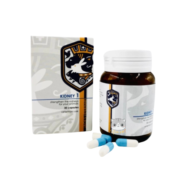 Jack’s Veterinary KIDNEY 1 泌尿𣈱通配方