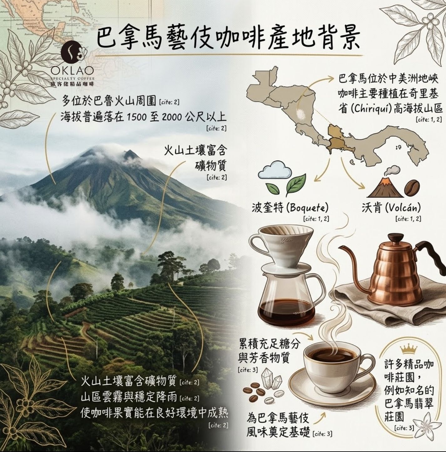 巴拿馬藝伎風味 巴拿馬藝伎咖啡豆價格 巴拿馬藝伎咖啡生豆 藝伎咖啡味道 藝伎咖啡喝法 巴拿馬翡翠莊園綠標藝伎 藝伎咖啡等級 精品咖啡 藝伎咖啡品種 手沖咖啡 咖啡知識