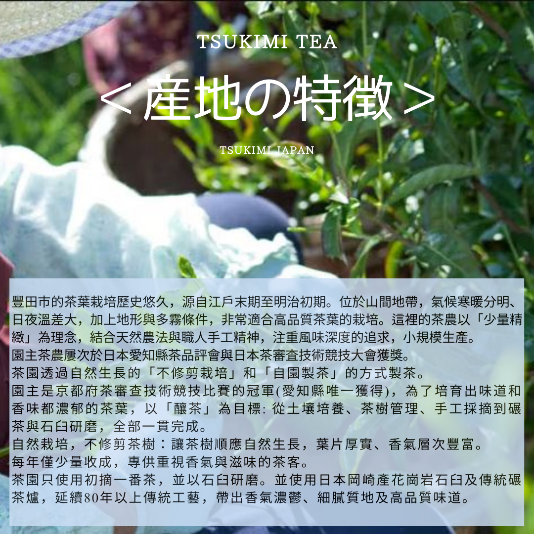 日本 愛知縣豐田 手摘棒焙茶【綠茶 / 焙茶】農家產地直送