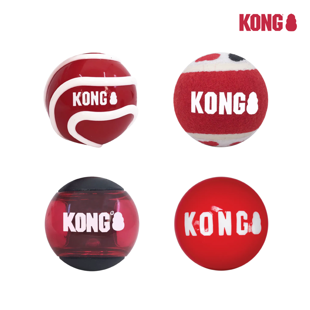 KONG | 經典彈跳球