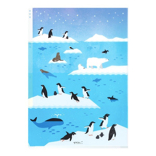 海洋生物 3層資料夾 A4｜日本MIDORI