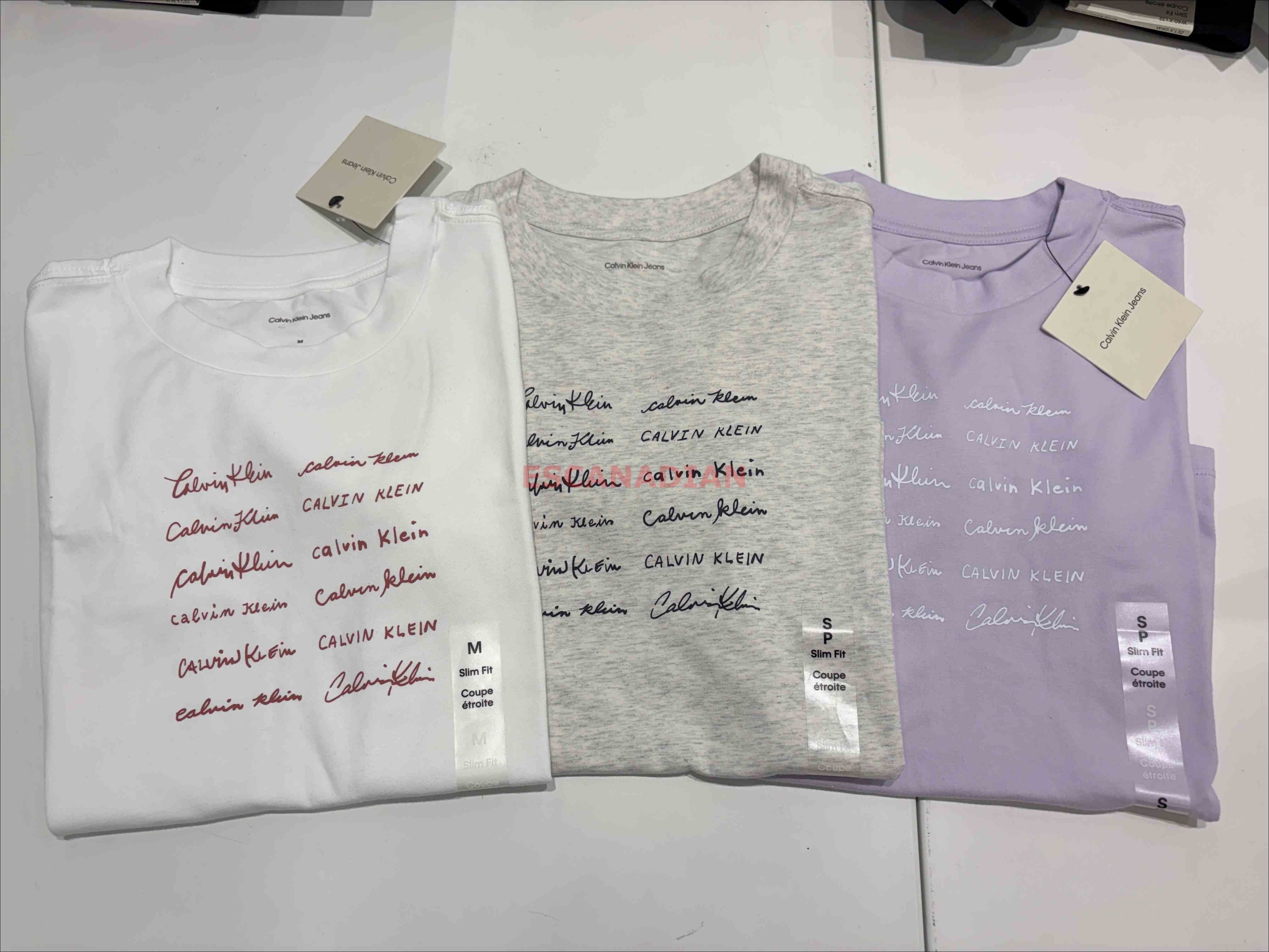 CK 女大人 字樣 短TEE (Slim fit 合身版) (3色)