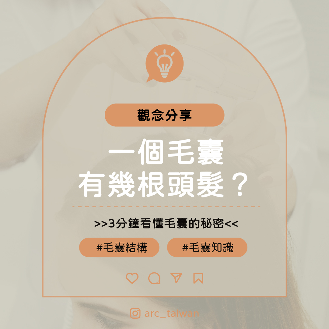一個毛囊會有幾根頭髮? 3分鐘看懂毛囊的秘密 小標:觀念分享 #毛囊結構 #毛囊知識