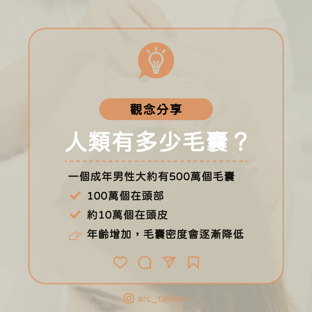 人類有多少毛囊? 一個成年男性大約有 ✔ 500萬個毛囊 其中 ✔ 100萬個在頭部 ✔ 約10萬個在頭皮 👉 年齡增加 毛囊密度會逐漸降低
