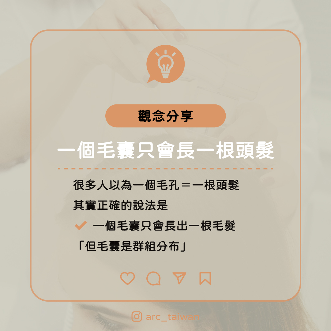 一個毛囊只會長一根頭髮 內文:很多人以為一個毛孔=一根頭髮 其實正確的說法是 ✔ 一個毛囊只會長出 一根毛髮 「但毛囊是群組分布」