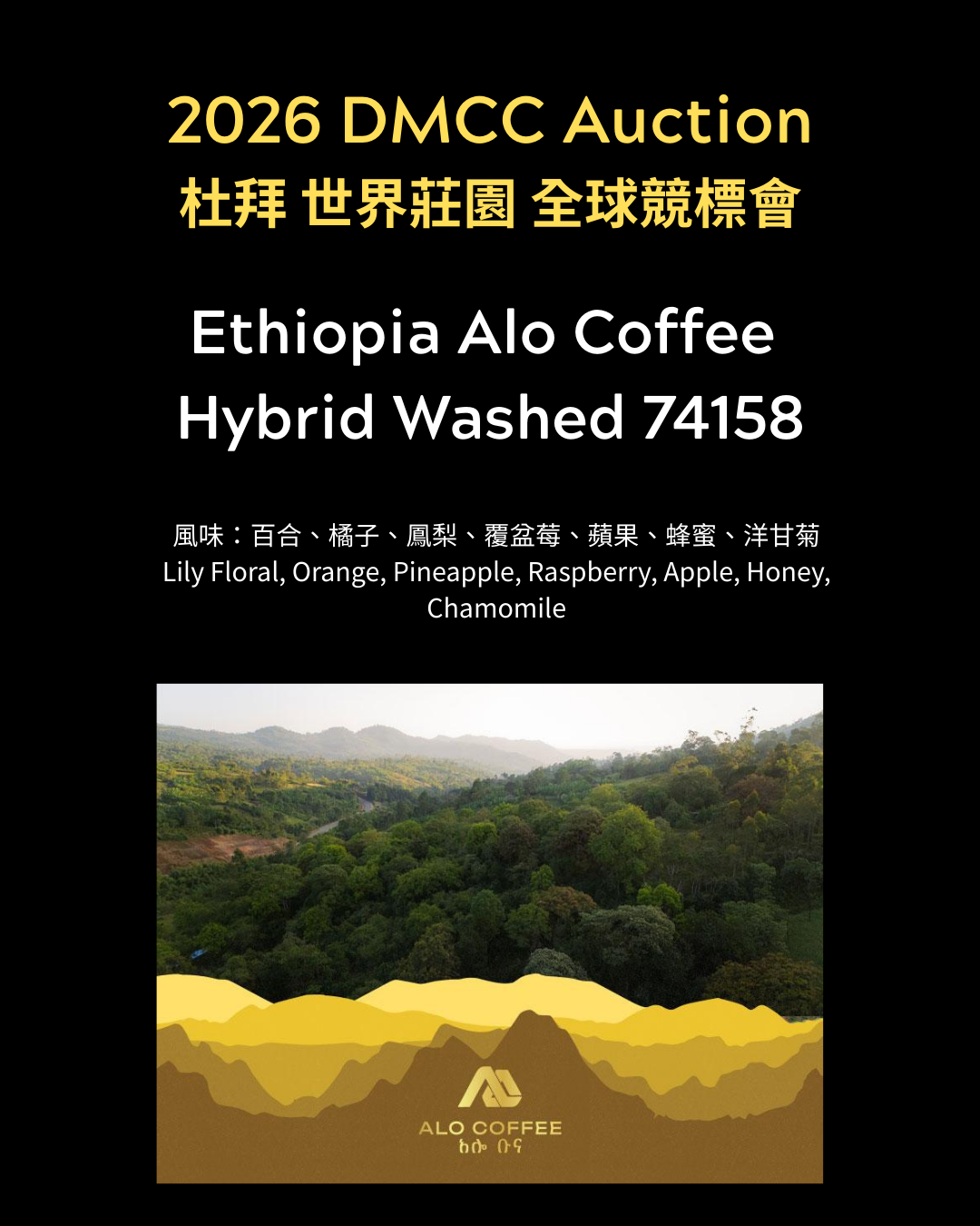 2026杜拜國際競標 獨家批次 衣索比亞 Alo 巔峰回響 74158 混合水洗 96小時厭氧＋暗房乾燥 淺焙 咖啡豆