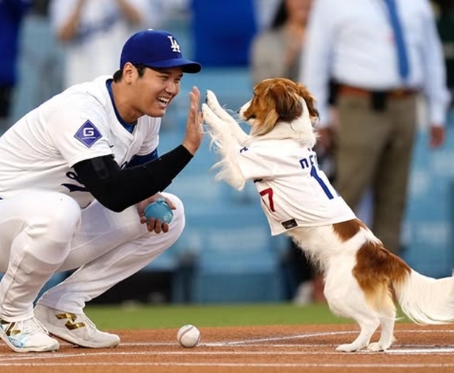 大谷翔平 愛犬 Decoy デコピン 狗狗 吊飾