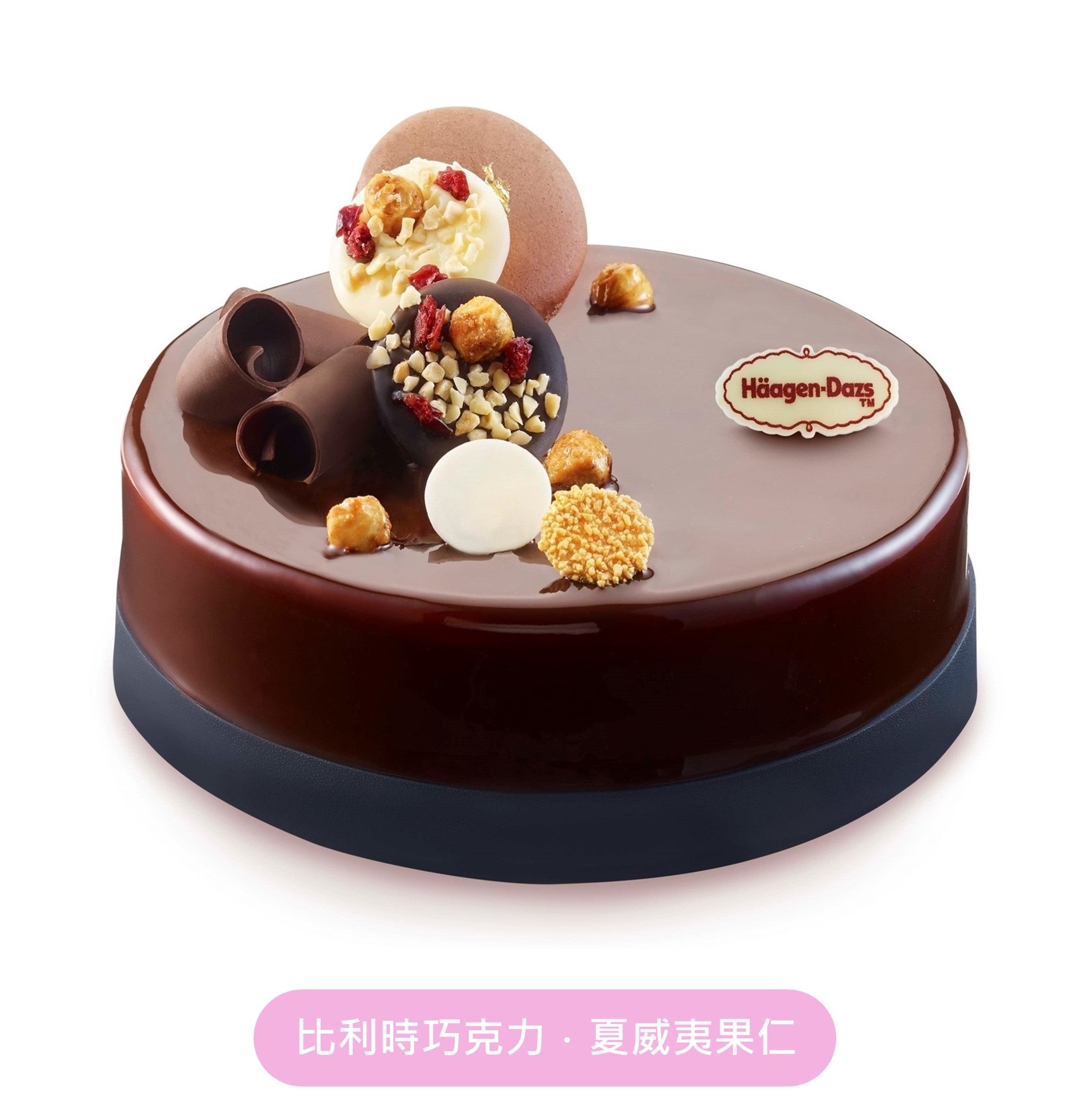 融情巧克力冰淇淋蛋糕