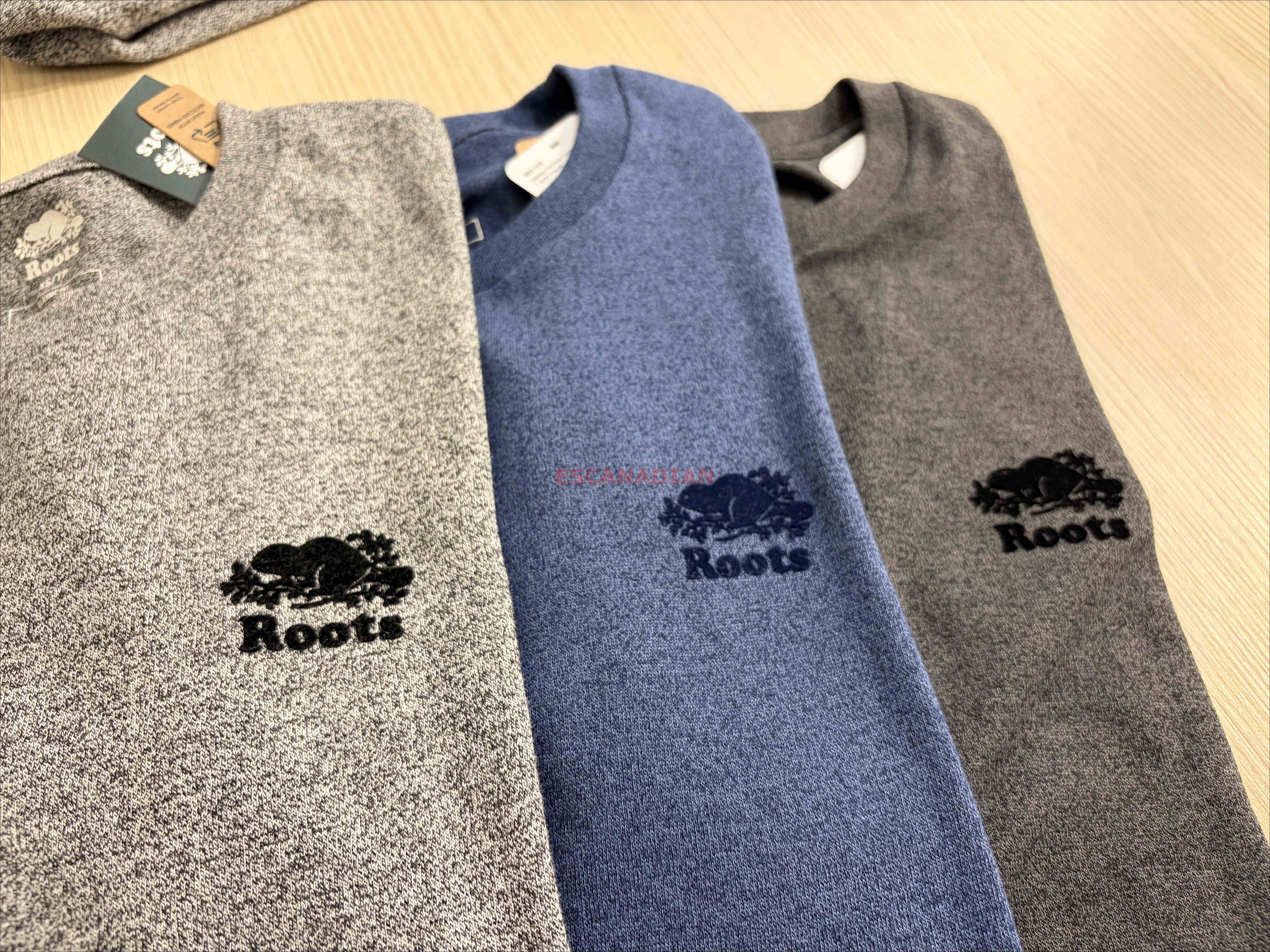 ROOTS 男大人 經典款 小海狸 短TEE (2色)